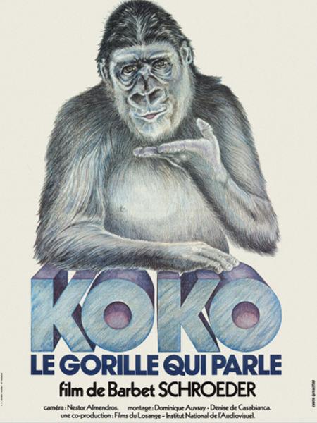 Koko, le gorille qui parle