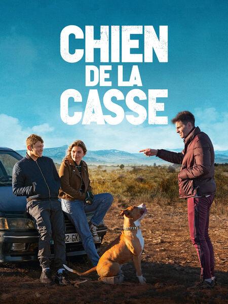 Chien de la casse